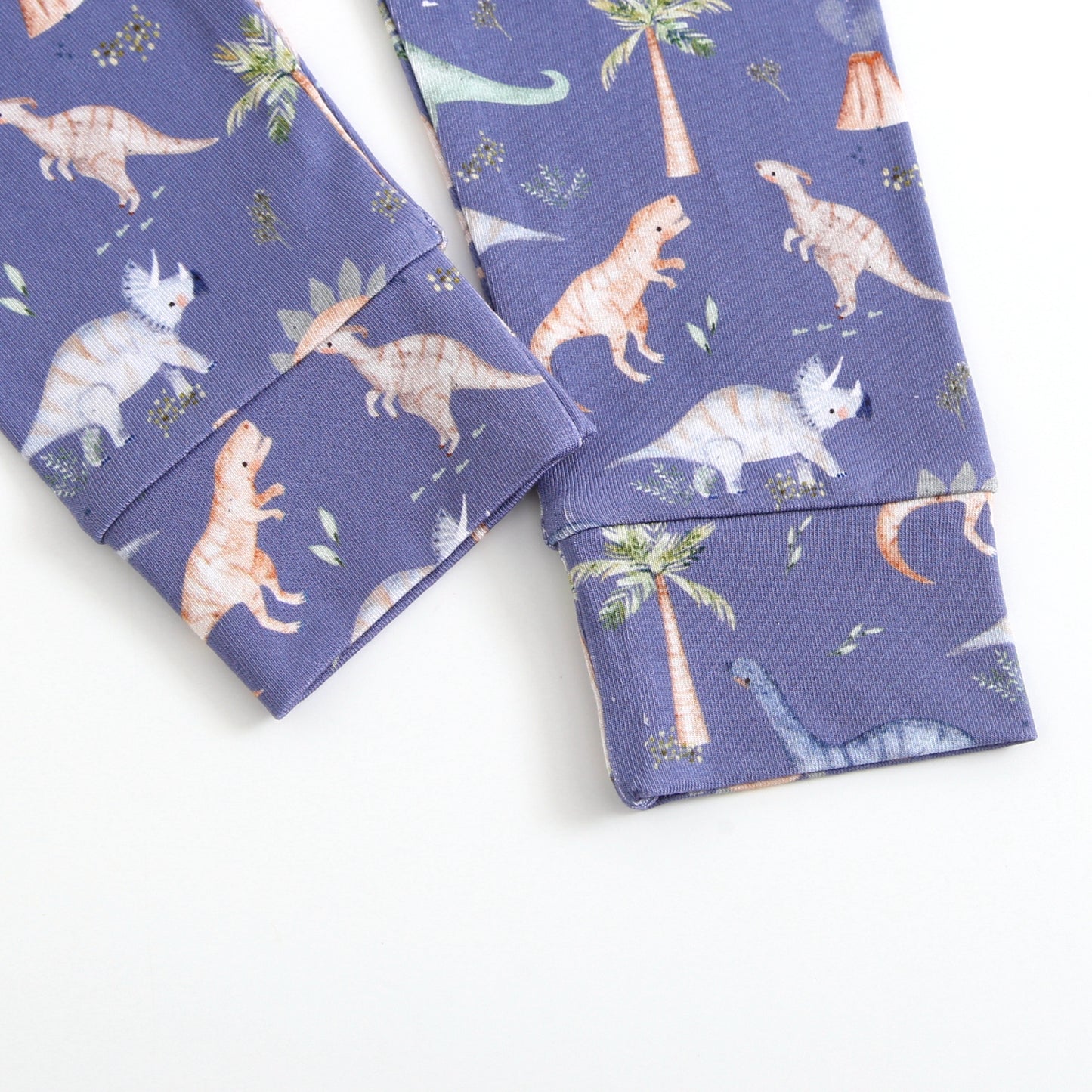 Bamboo 2-Piece Pjs - Jurassic