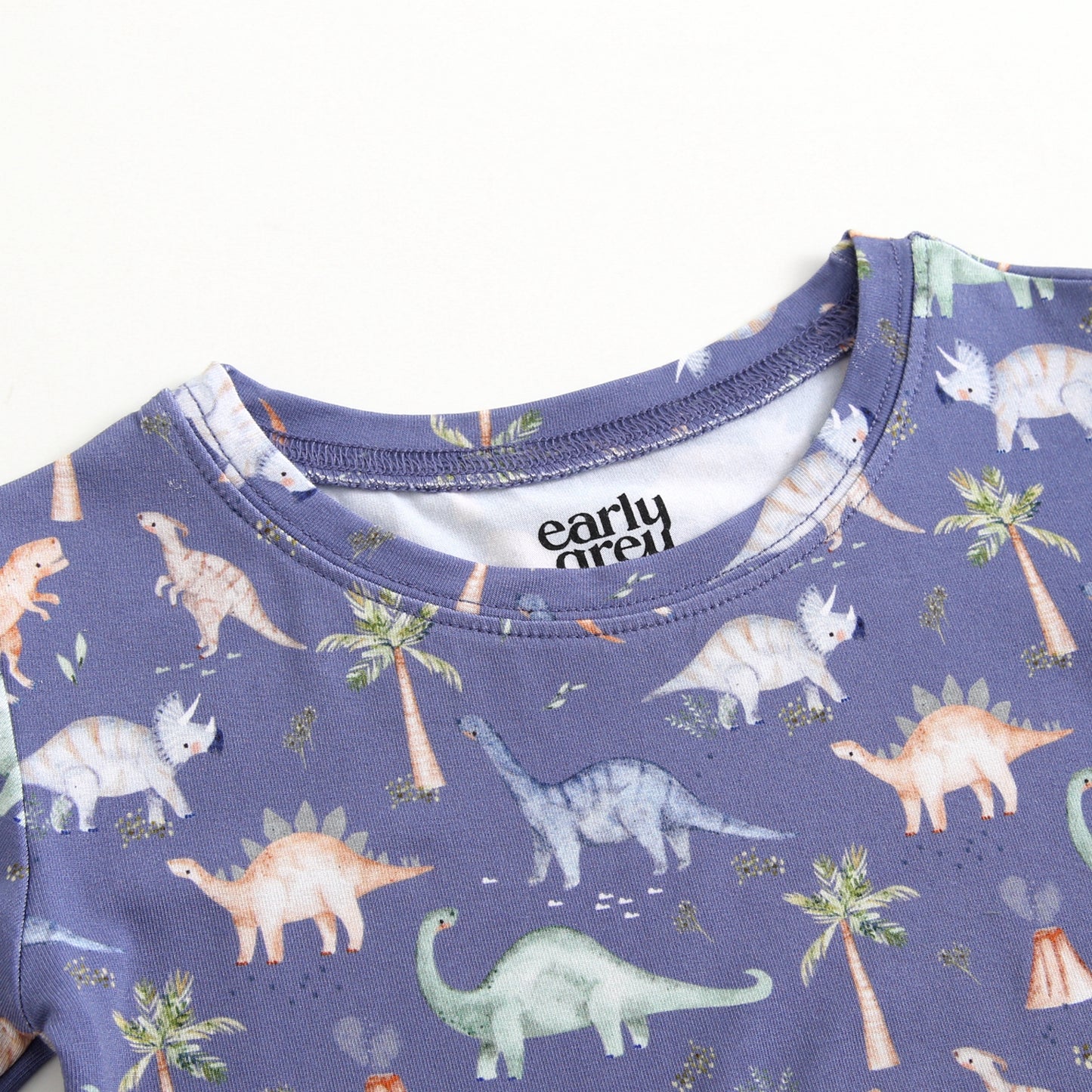 Bamboo 2-Piece Pjs - Jurassic