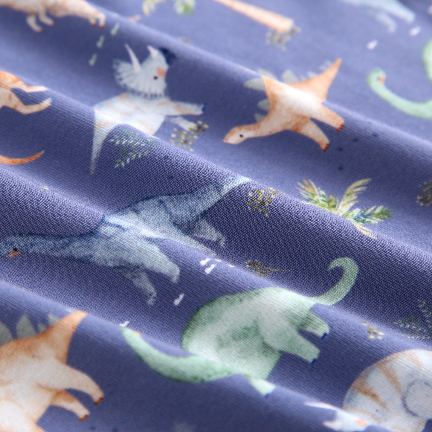 Bamboo 2-Piece Pjs - Jurassic